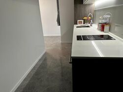 The M (D7), Apartment #461785901